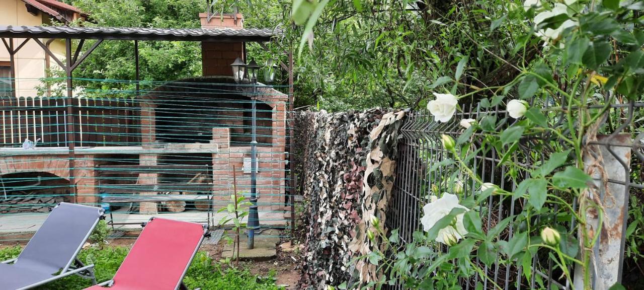 シナヤ Casa Crissioヴィラ エクステリア 写真